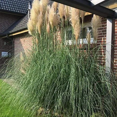 An Der Au - Ferienwohnung Nebelhorn